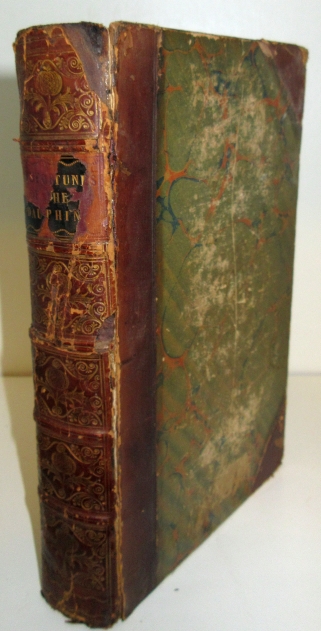 Image for An Abridged Account of the Misfortunes of the Dauphin