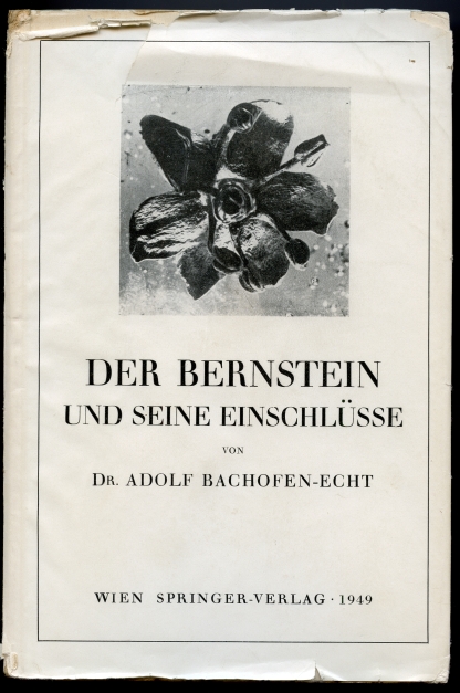 Image for Der Bernstein und Seine Einschlusse