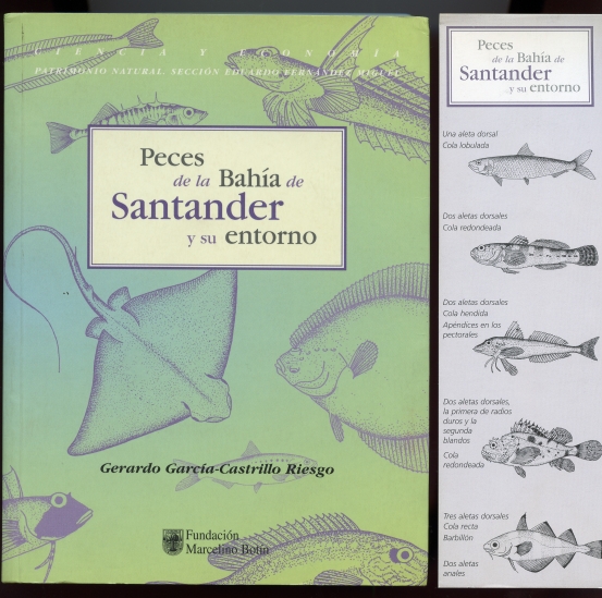 Image for Peces de la Bahia de Santander y su Entorno