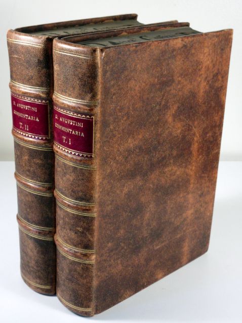 Image for D. Aurelii Augustini Tam in Vetus Quam in Novum Testamentum Commentarii, Ex Omnibus Eiusdem Lucubrationibus Per Ioannem Gastium and D. Aurelii Augustini Commentariorum, Ex Omnibus Eiusdem Lucubrationibus Collectorum Tomus Secundus, in Novum Testame In Two Volumes