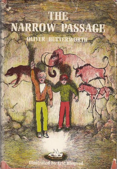 The Narrow Passage Image for The Narrow Passage